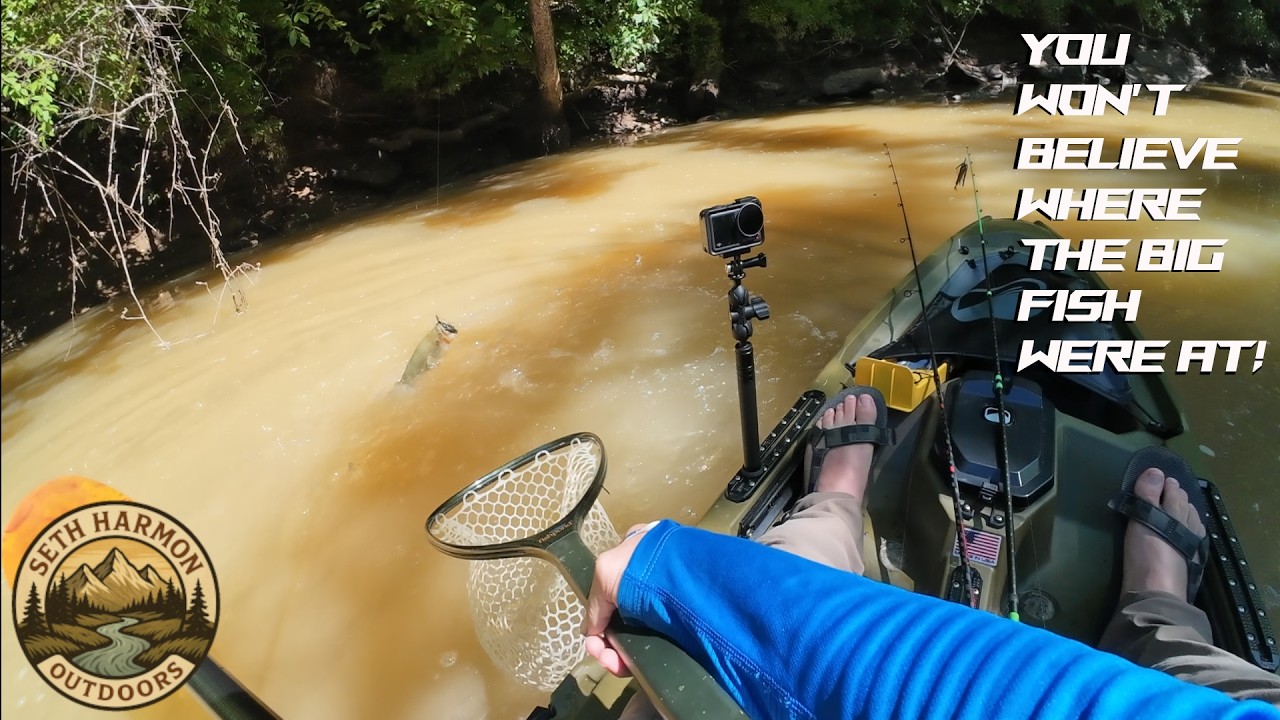 Big Bass Were SHALLOW | Kayak Bass Fishing