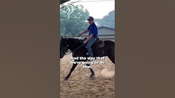 Learn How To "Ride The Eye" Of Your Horse! Part 4!  | The Horse Guru - Michael Gascon