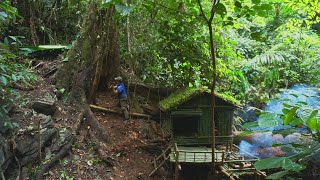 FULL VIDEO 300 days Survive in the rainforest. Build bushcraft shield, sleeping in the deep forest.