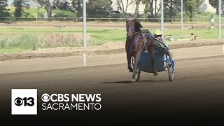 Cal Expo horse racing in Sacramento could be in jeopardy