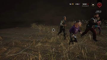 I encountered my first hacker in dbd. The God Meg