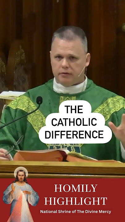 What makes the Catholic Church different? The Sacraments. #frchrisalar #homilyhighlight