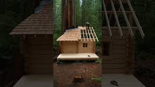 They Built a Cozy Cabin Between Giant Redwood Trees 😳🌲