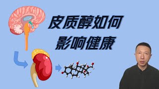 皮质醇如何影响健康
