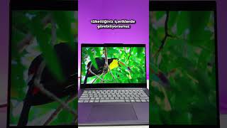 Intel Core Ultra 7 Işlemcili Lenovo Yoga Slim 7I Aura Edition Inceliyoruz