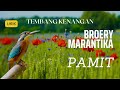 Pamit | Ijinkan Aku Pergi | Broery Marantika | Tembang Kenangan | Lirik Lagu | Rural Nature