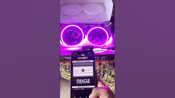 Oracle Colorshift halo for jeep jk