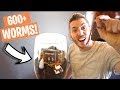 BUYING ALL THE WORMS FROM WALMART!