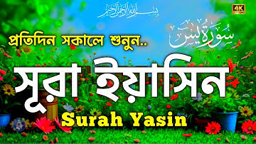 সূরা ইয়াসিন | Surah Yasin | سورة يس | শ্রুতিমধুর তিলাওয়াত প্রতিদিন শুনুন | Heart Touching Telawaat 