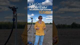 Какие проблемы решаются при помощи полива? #питомникрастений #садоводничество #растения #сад #полив