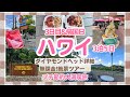 【ハワイ】モデルコース🌺ダイヤモンドヘッド&王道グルメ大満喫【オアフ島】