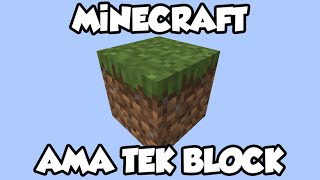 MİNECRAFT AMA TEK BLOCK #2