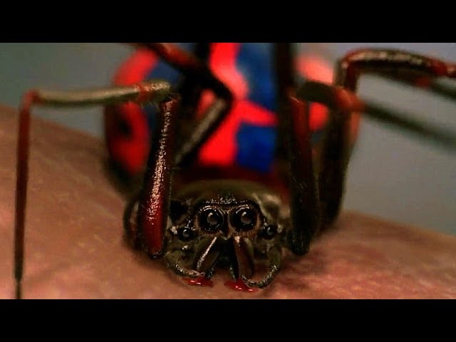 Peter Parker Gets Bitten By Spider - School Field Trip Scene - Spider-Man  (2002) Movie CLIP HD - YouTube