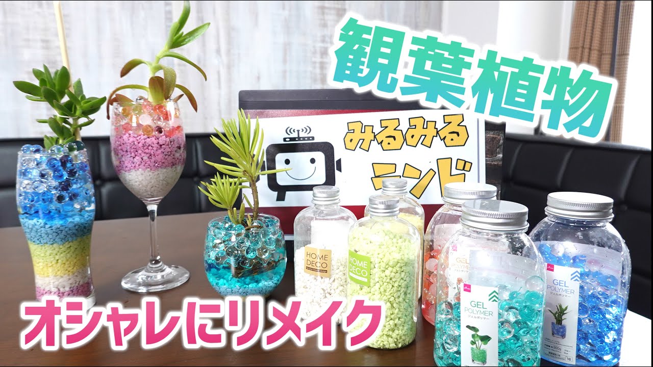 100均ダイソーの観葉植物をジェルポリマーでオシャレなインテリアにリメイク Youtube