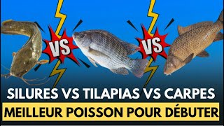 Pisciculture : Voici Le Poisson Le Plus Facile À Élever Quand On Débute Sans Connaissances !