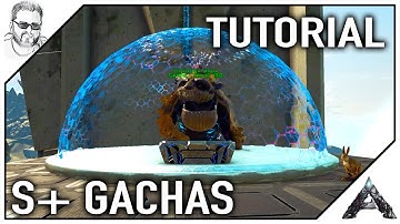 S+ Gacha Gavager, Crystal Cracker, Item Collector e Animal Tender - Ark Tutorial PT