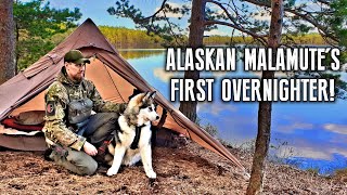 Overnight camping with my dog - Rokka's first backpacking trip | Taival Outdoors screenshot 5