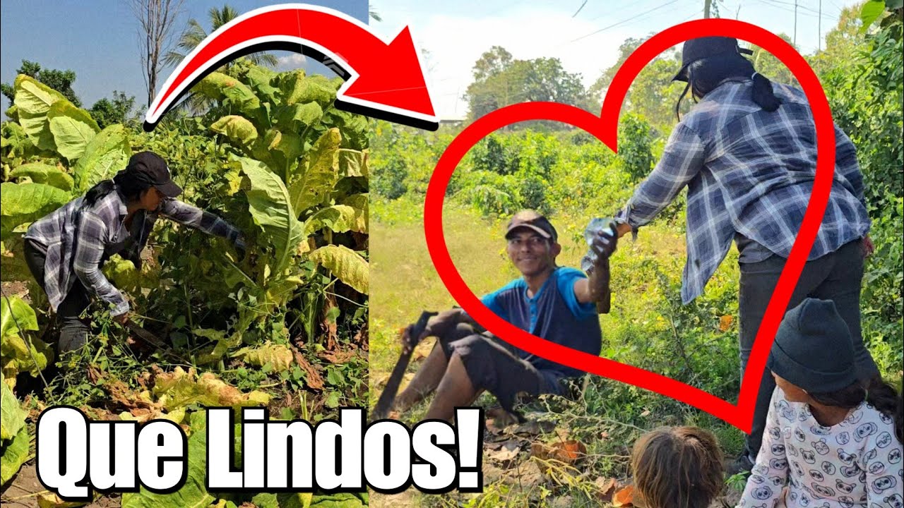 Carmen Le Fue A Ayudar a Trabajar Al Hijo De Doña Irma😱