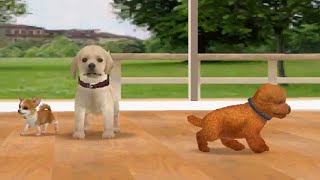Nintendogs Ambience (3 Dogs): Ranch House Day