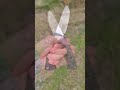 Нож Енот.  Полированный. Черная рукоять.