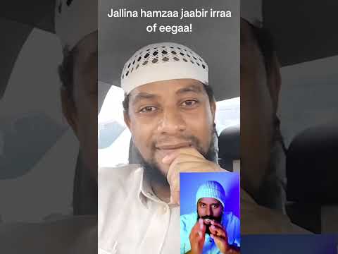 Jallinni Hamzaa Sheekh Jaabir Dirree Bahee Jira 