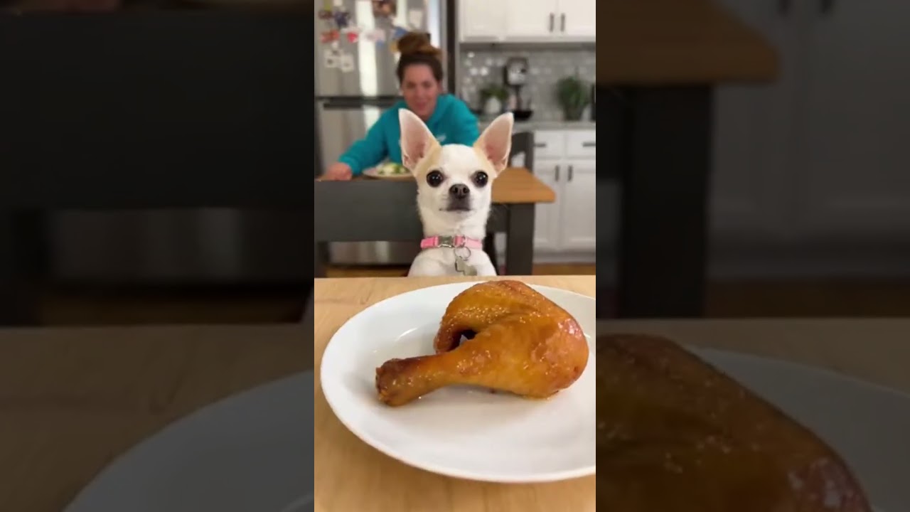 The ultimate toy heist! 🐶💼 