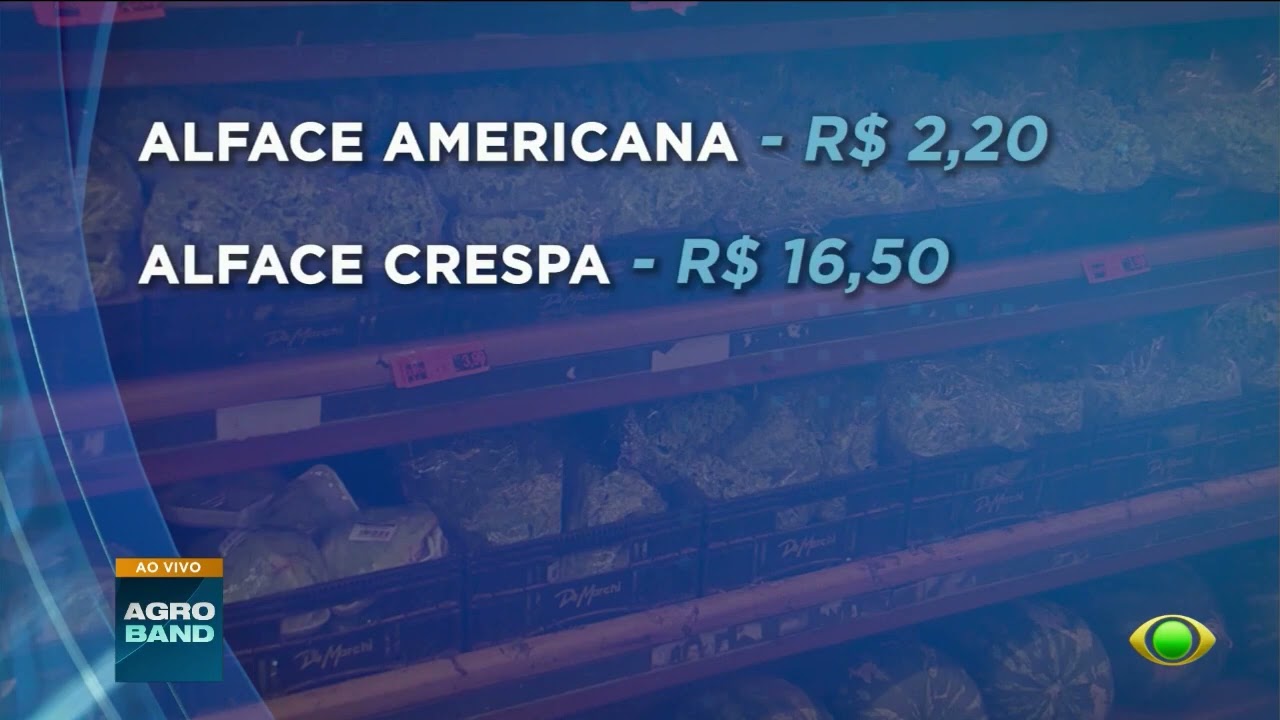 Excesso de chuva é um problema para produção de hortaliças no Sul