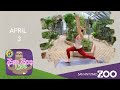 Zen Zoo - April 3