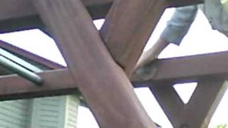 Randomness Episode 1-2