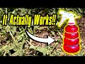 I Made a DIY Weed Killer That ACTUALLY Works! (No TOXIC Chemicals Needed)
