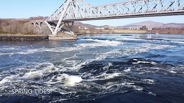 Falls of Lora - The Difference Between Neap & Spring Tides