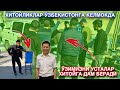 ХИТОЙЛИКЛАР КЕЛМОКДА ЛЕКИН УЗИМИЗНИ УСТАЛАР ХИТОЙГА ДАМ БЕРИШАДИ