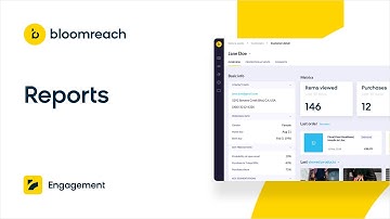 Bloomreach Engagement | Reports