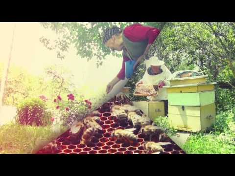 \"ფერმერის საათის\" ქუდი