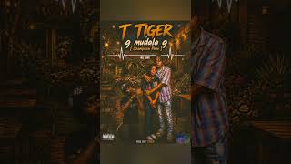 Uzanipeza T Tiger Apa I Ft Mwana Kalapa @Refugiomental6032 