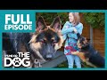 This german shepherd puppy is a hell raiser  full episode  its me or the dog