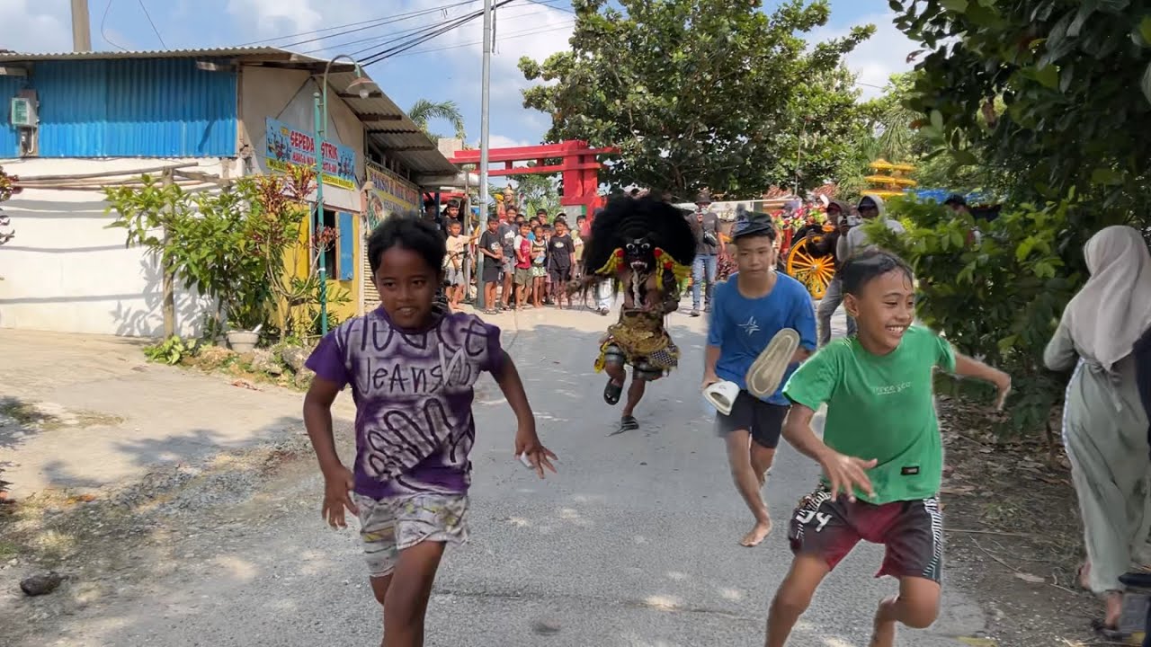 Kocar kacir! Pengejek Di uber Barongan ngamuk! Seni Barong Sekar Gading Seto 