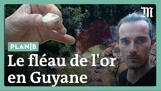 Guyane : sur la piste des chercheurs d’or illégaux