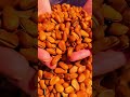 Fresh Northeast Red Pine Nuts | Premium Large Pine Nuts | Healthy Natural Snack.
