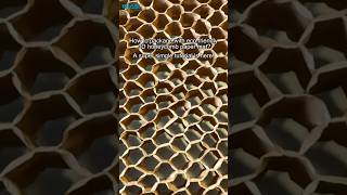 In today's pursuit of eco-friendly and high-quality packaging, 3D Honeycomb paper mat