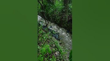 تلاوات مختارة / يونس اسويلص (ولقد بعثنا في كل أمة رسولا ,,)