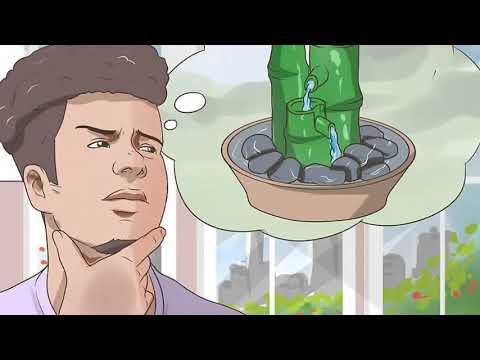 How to Deal With Geopathic Stress
