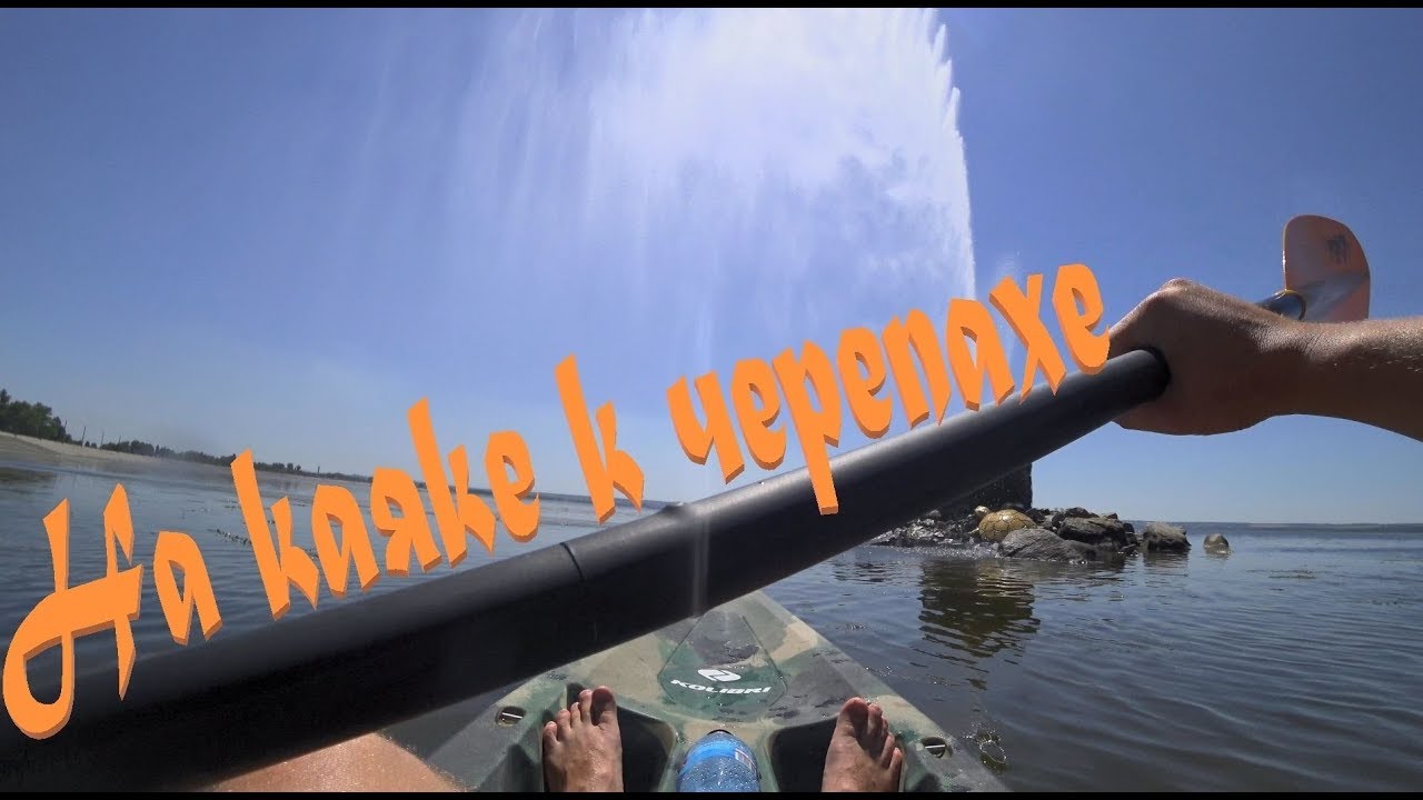 На каяке к черепахе