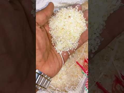 أول خطوة لإمتلاك حوض سمك كامل