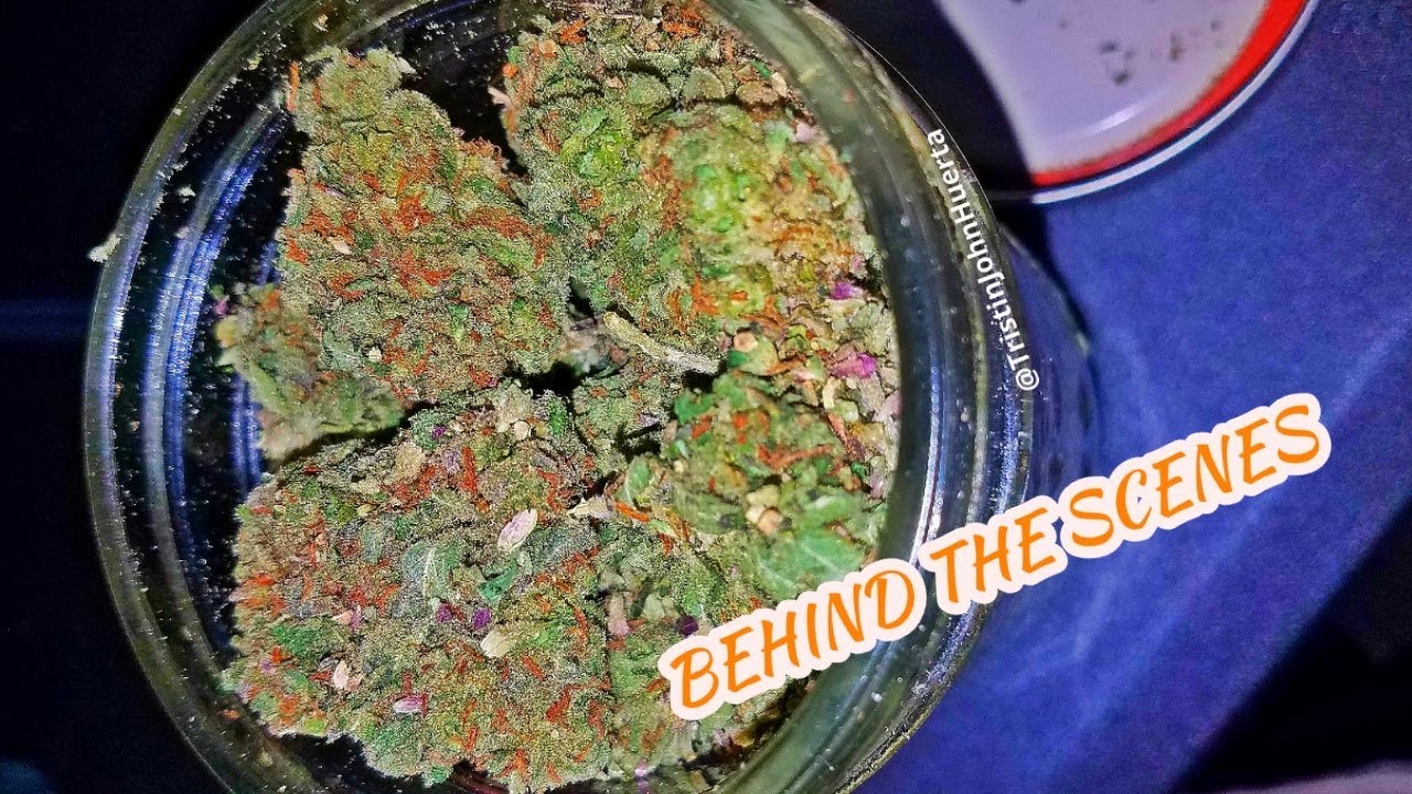 BEHIND THE SCENES: I MIGHT DIE YOUNG & TRIPPY $UICIDE MUSIC VIDEOS