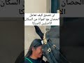 لن تصدق كيف تعامل الحصان مع هذه المرآة من السكان الأصليين لأمريكا 