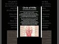 Circle of Willis Blutversorgung des menschlichen Gehirn