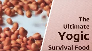 The Ultimate Survival Diet– The Yogic Superfood