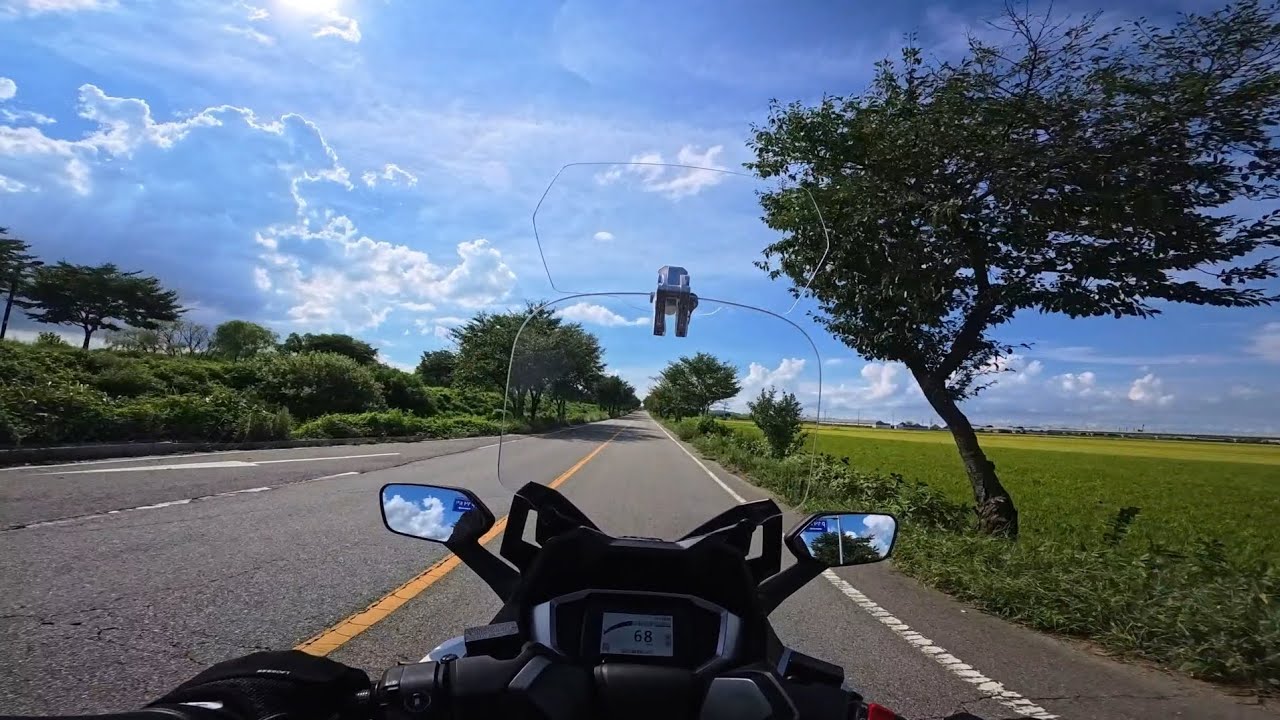 평택 팽성 안성천 바리