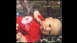 Домашний Vlog  C Реборном Саскией